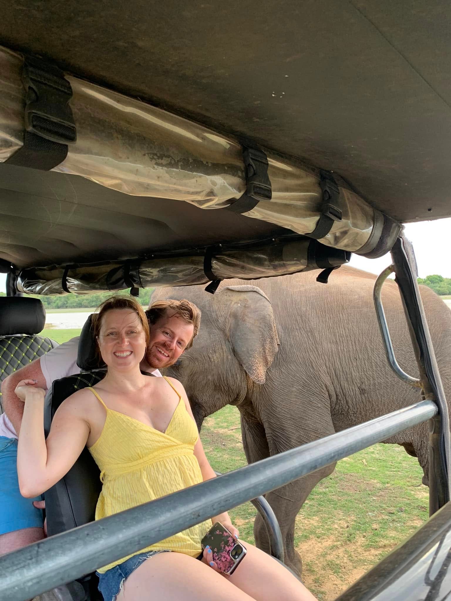Elephant approaching open safari jeep window with guest watching inside