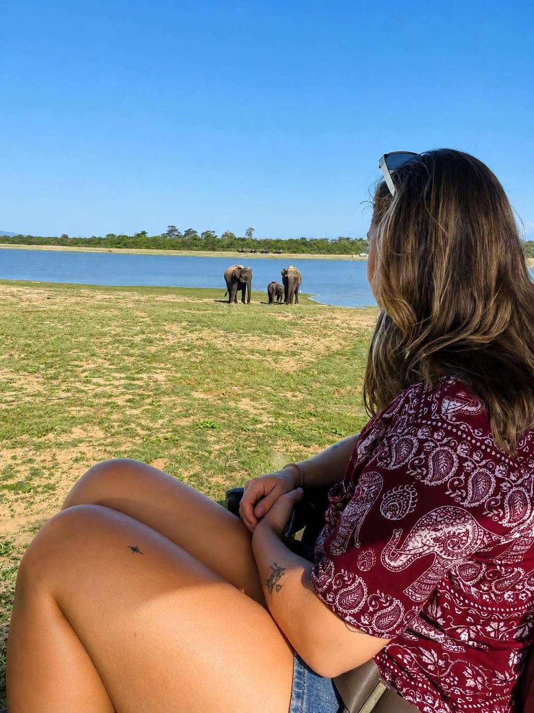 Guest watching elephant family at the Udawalawe reservoir from safari jeep